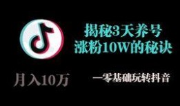 快手咋发爆料视频教程,轻松上手，一键发布